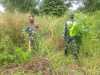 Serma Armen Dan Sertu SDG Barus Babinsa Koramil 04/Mandau Patroli Karhutla di Kel. Pematang Pudu